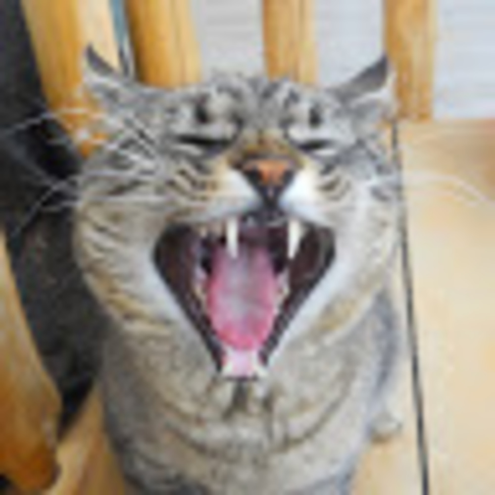 Meet your Posher, Stacy